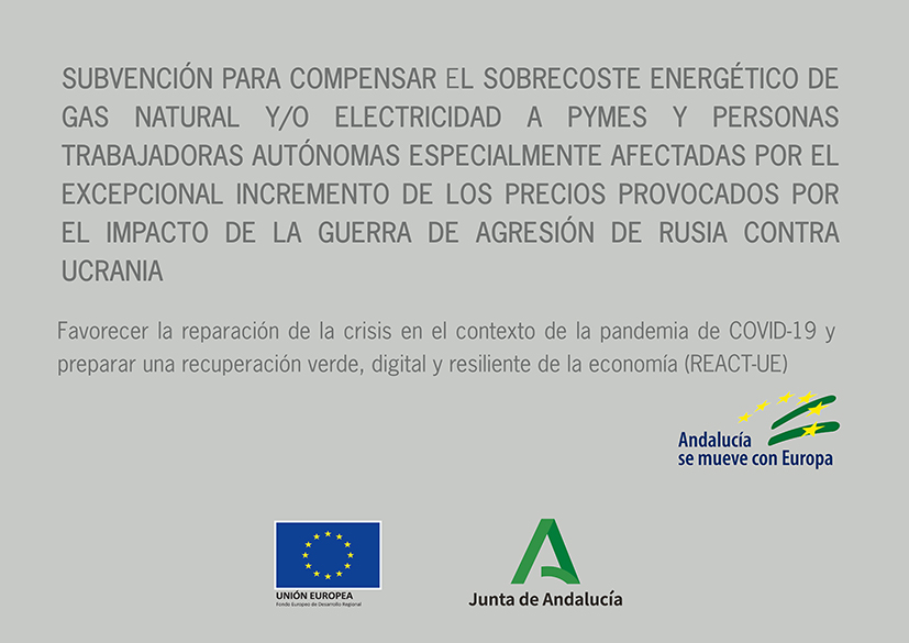 Ayuda para la compensación de los sobrecostes energéticos